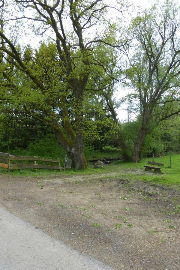 Ferienwohnung Am Eifelsteig Roetgen Zewnętrze zdjęcie