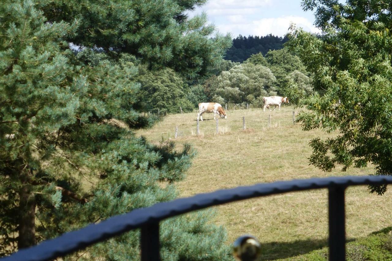 Ferienwohnung Am Eifelsteig Roetgen Zewnętrze zdjęcie